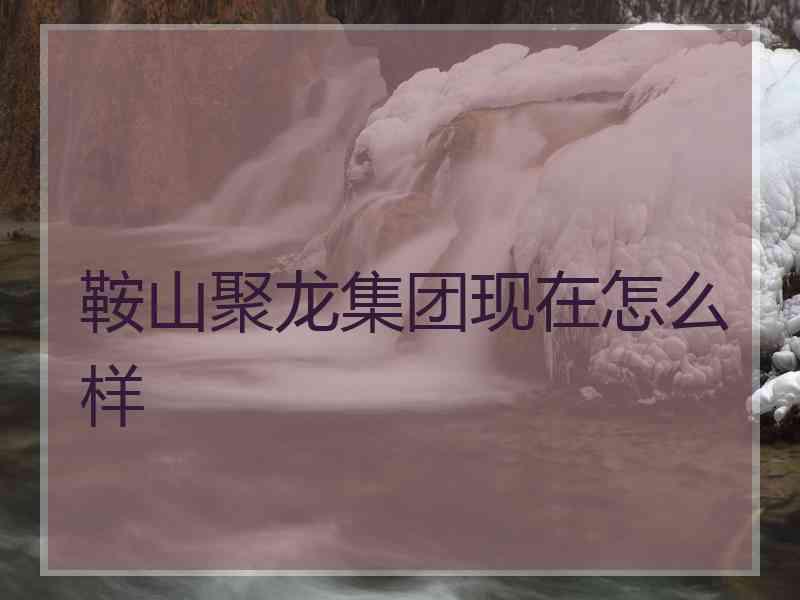 鞍山聚龙集团现在怎么样