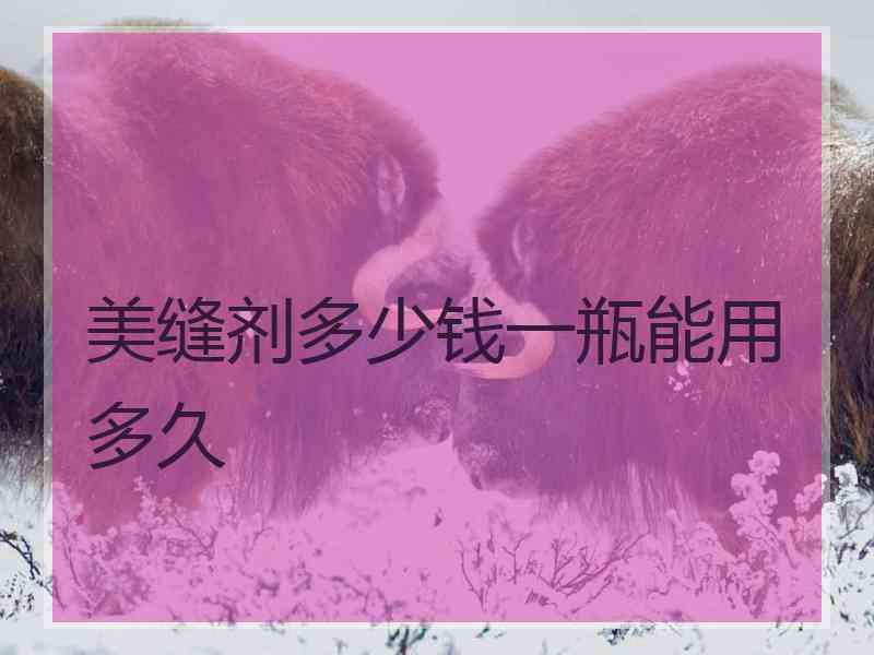 美缝剂多少钱一瓶能用多久
