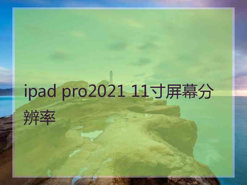 ipad pro2021 11寸屏幕分辨率