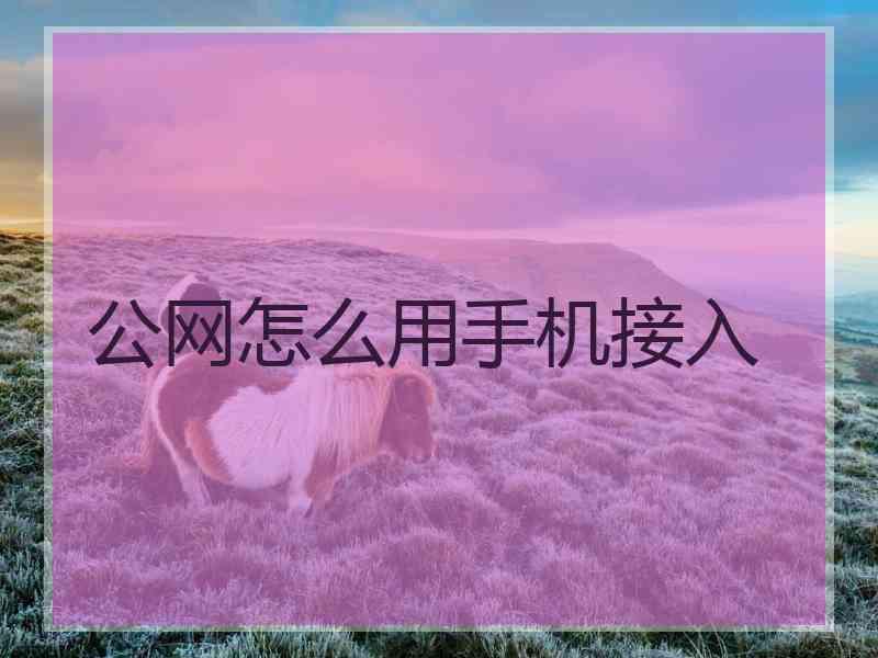 公网怎么用手机接入