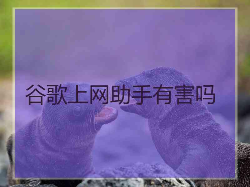 谷歌上网助手有害吗