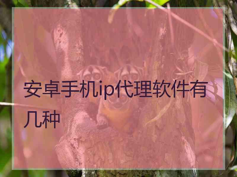 安卓手机ip代理软件有几种