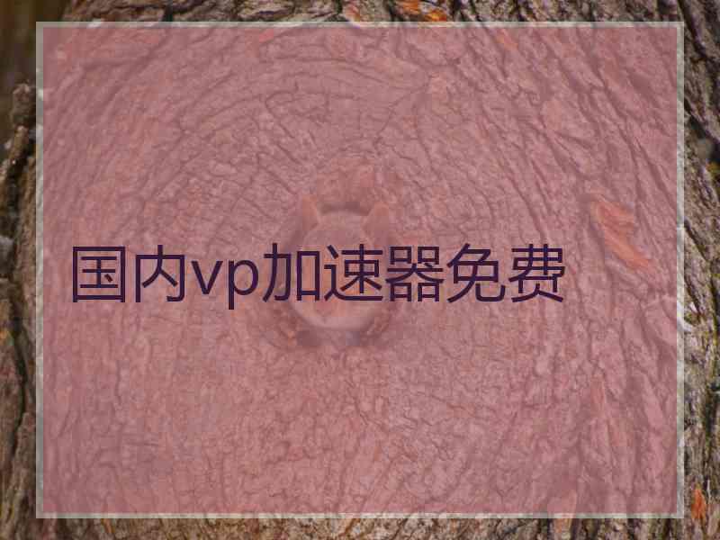 国内vp加速器免费