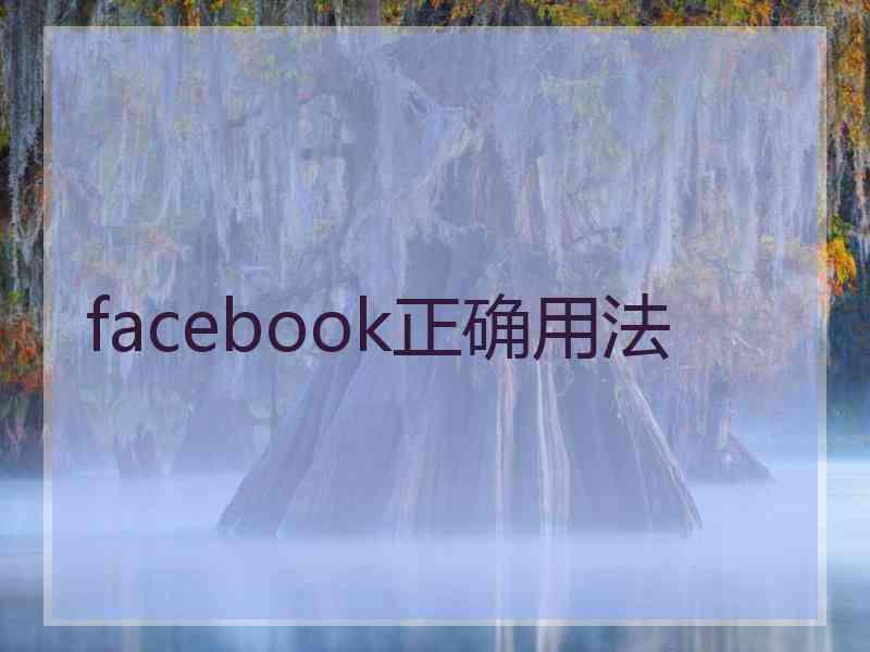 facebook正确用法