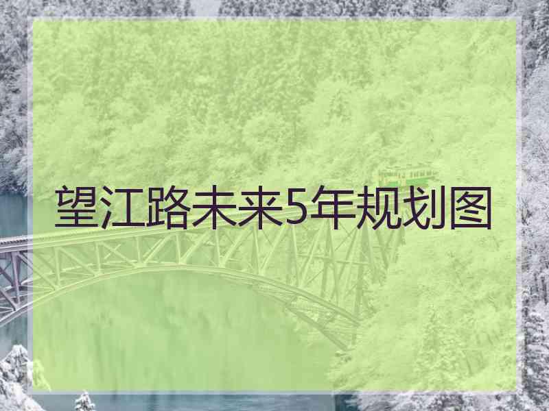 望江路未来5年规划图