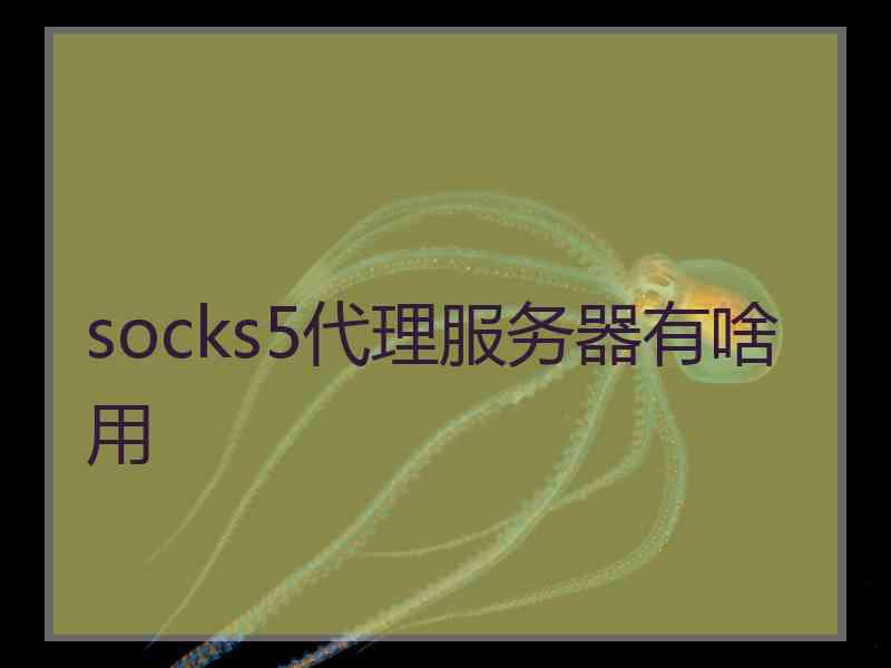socks5代理服务器有啥用