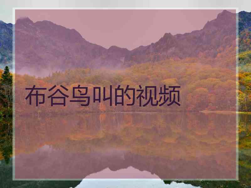 布谷鸟叫的视频