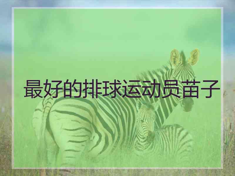 最好的排球运动员苗子