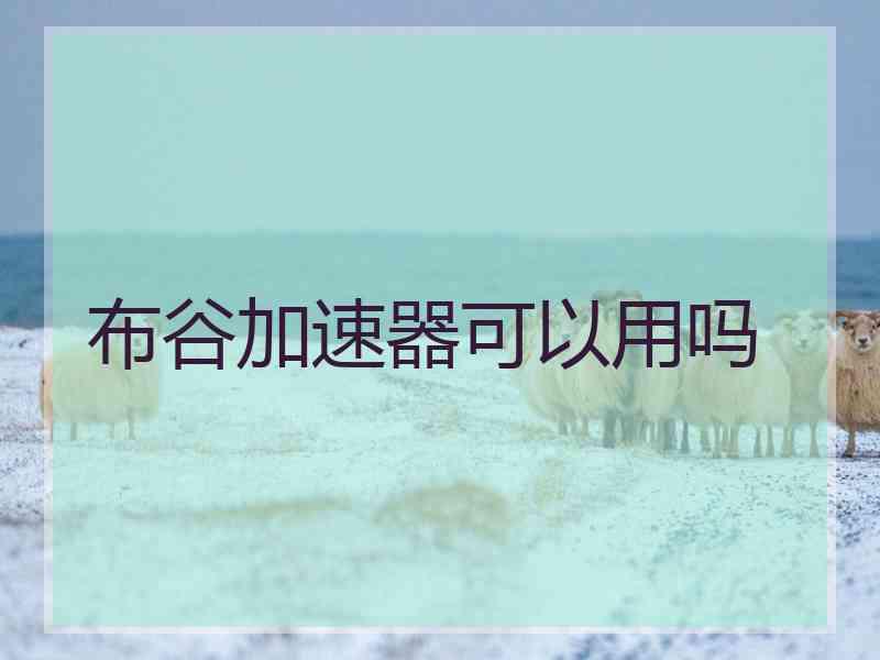 布谷加速器可以用吗