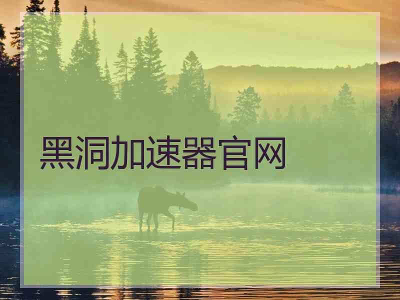 黑洞加速器官网
