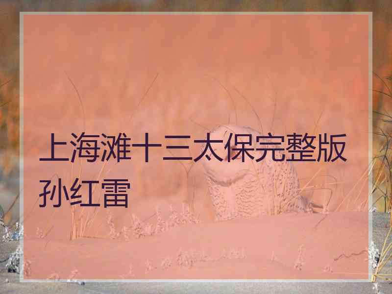 上海滩十三太保完整版孙红雷
