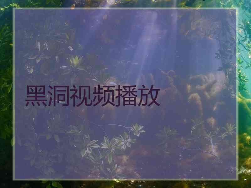 黑洞视频播放