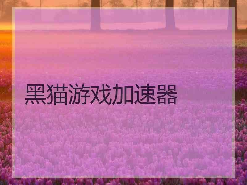 黑猫游戏加速器