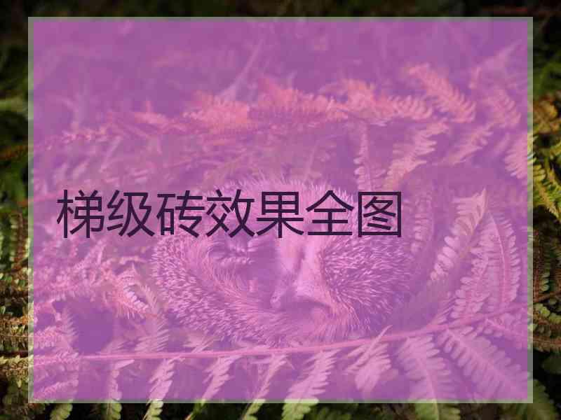 梯级砖效果全图