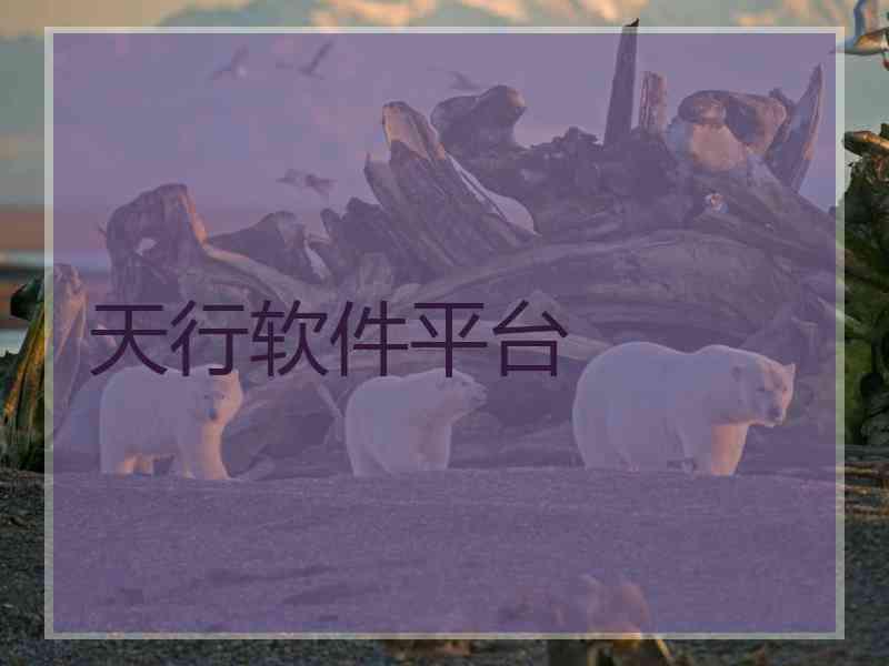 天行软件平台