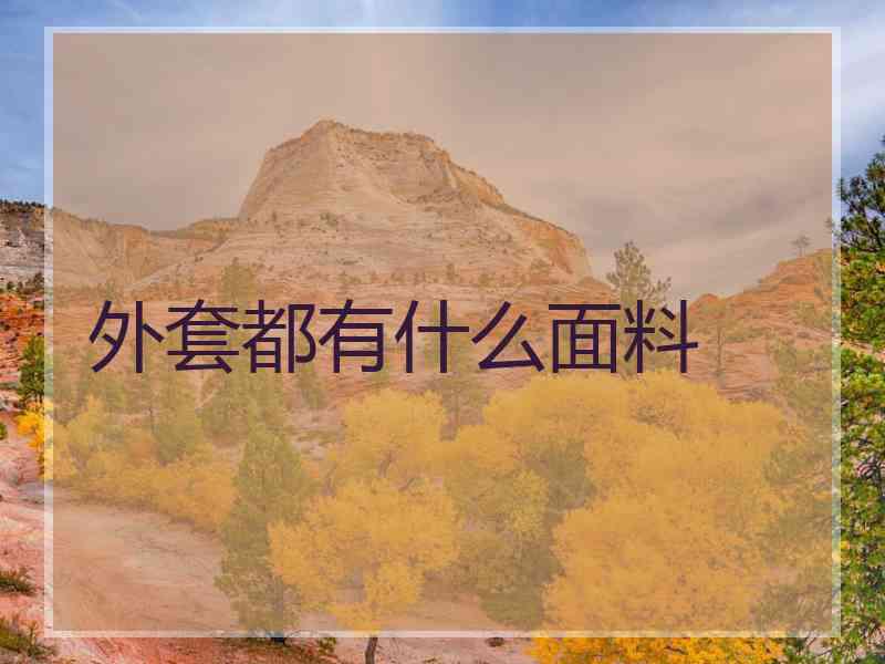 外套都有什么面料