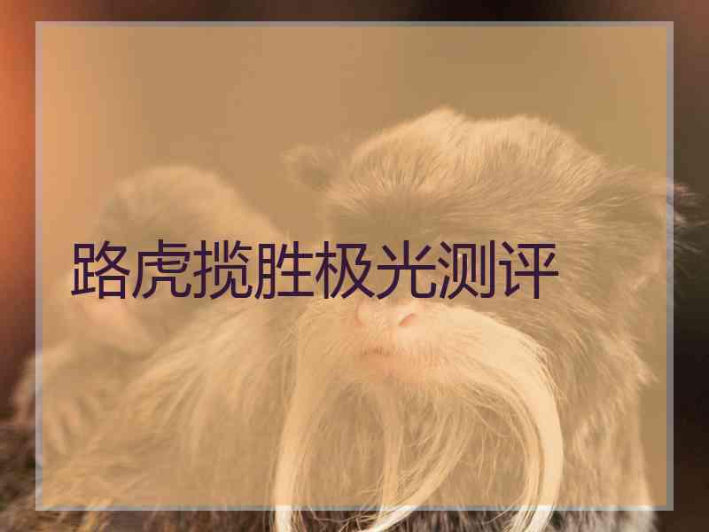 路虎揽胜极光测评