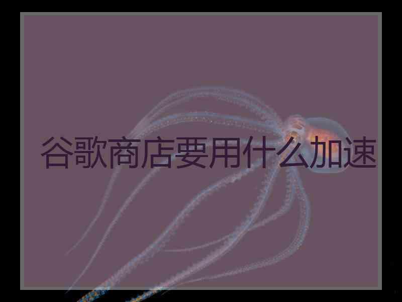 谷歌商店要用什么加速