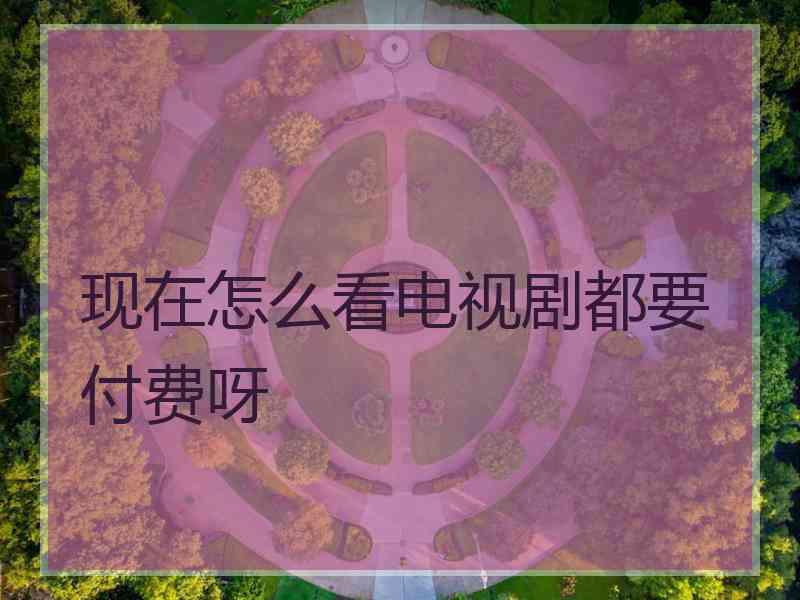 现在怎么看电视剧都要付费呀