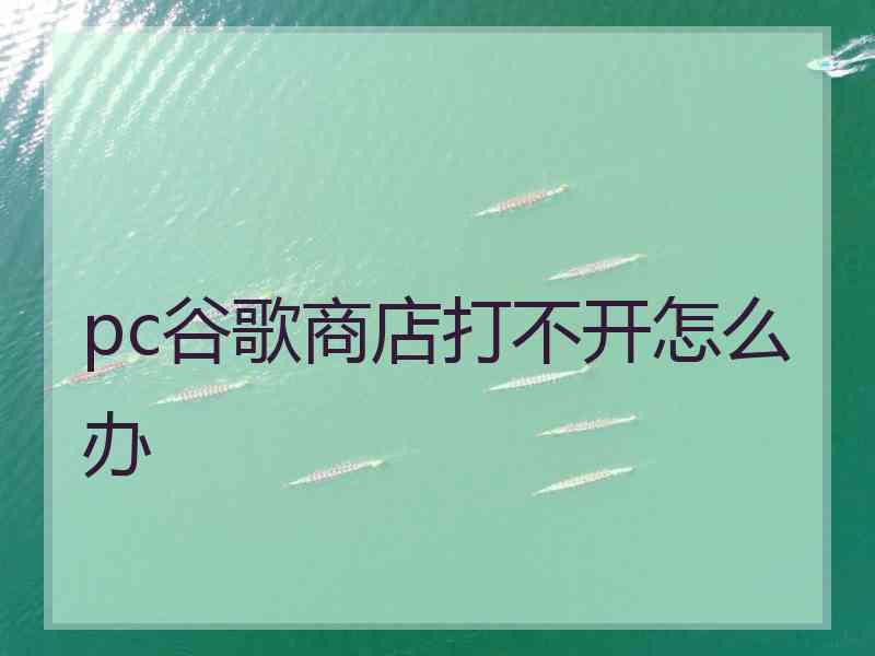 pc谷歌商店打不开怎么办