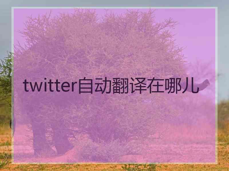twitter自动翻译在哪儿