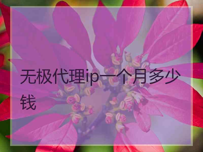 无极代理ip一个月多少钱