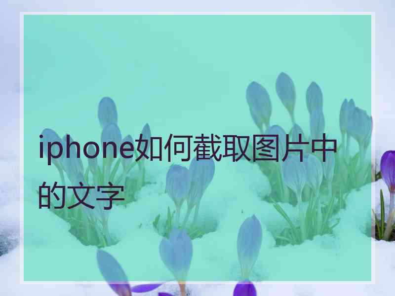 iphone如何截取图片中的文字