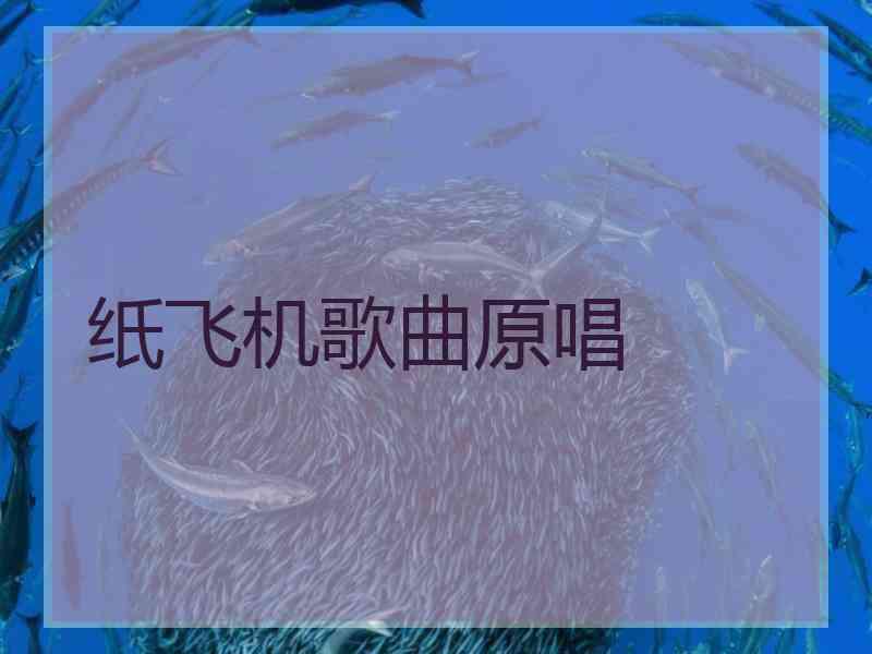 纸飞机歌曲原唱