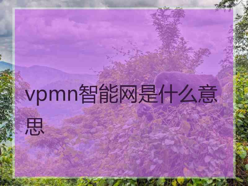 vpmn智能网是什么意思