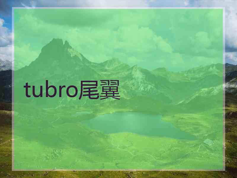 tubro尾翼