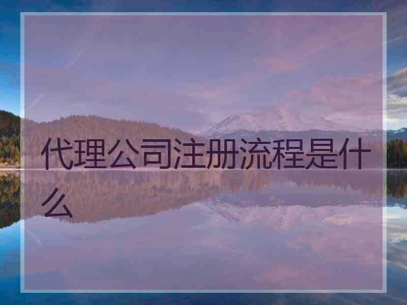 代理公司注册流程是什么