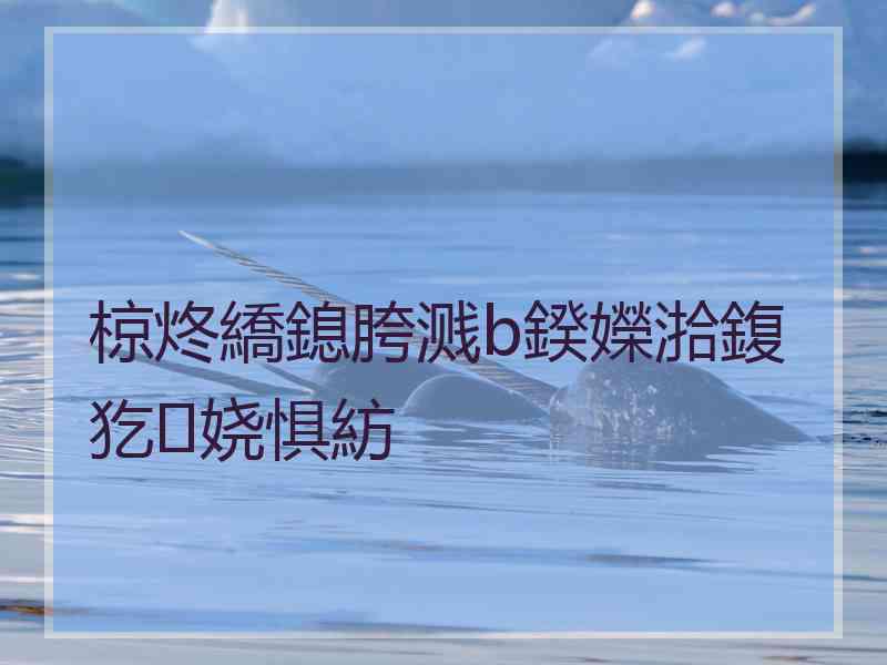 椋炵繑鎴胯溅b鍨嬫湁鍑犵娆惧紡