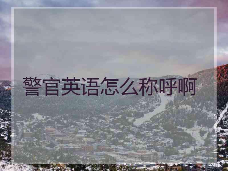 警官英语怎么称呼啊