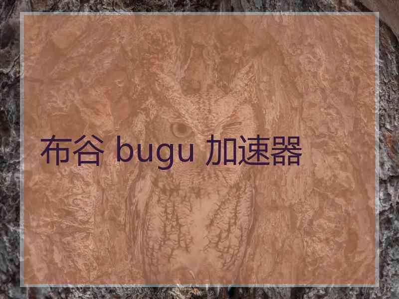 布谷 bugu 加速器