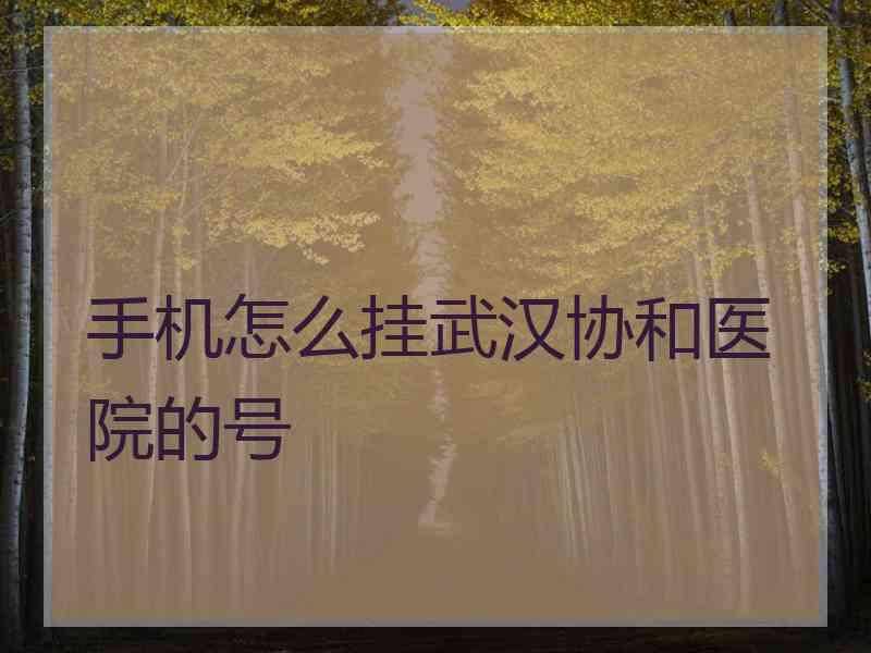 手机怎么挂武汉协和医院的号
