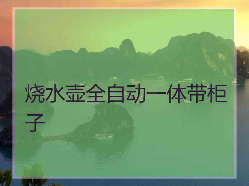 烧水壶全自动一体带柜子