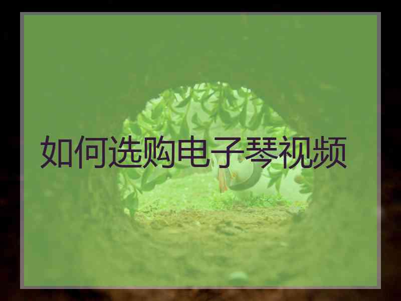 如何选购电子琴视频