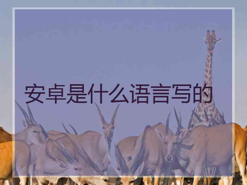 安卓是什么语言写的