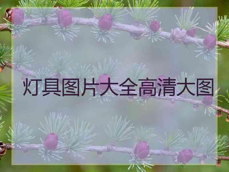 灯具图片大全高清大图
