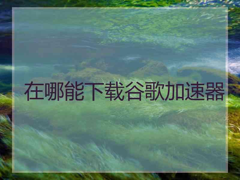 在哪能下载谷歌加速器