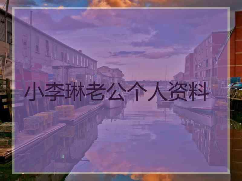 小李琳老公个人资料