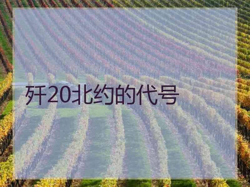 歼20北约的代号