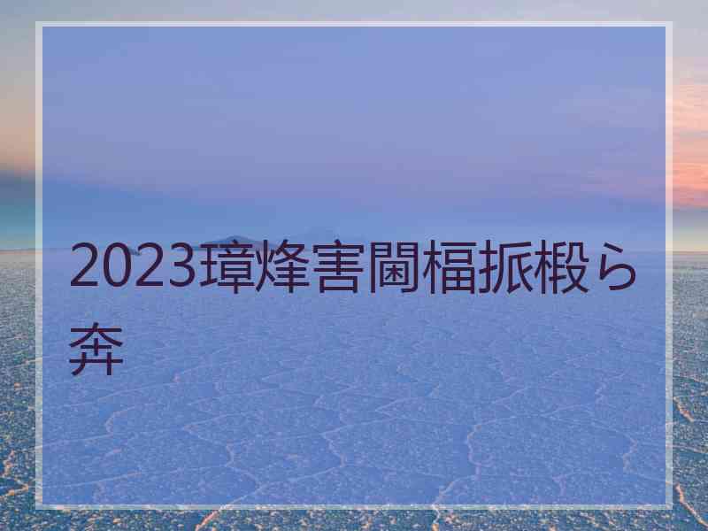 2023璋烽害閫楅挀椴ら奔