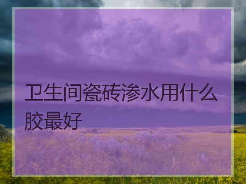 卫生间瓷砖渗水用什么胶最好