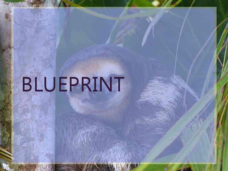 BLUEPRINT