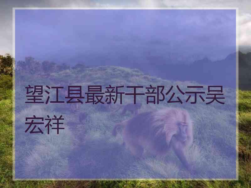 望江县最新干部公示吴宏祥
