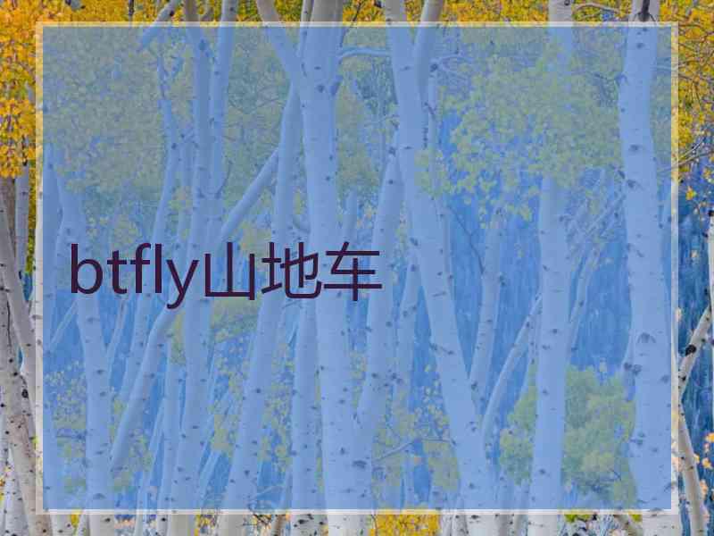 btfly山地车