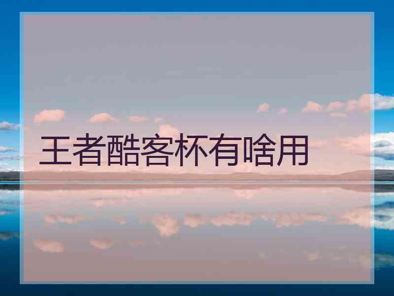 王者酷客杯有啥用