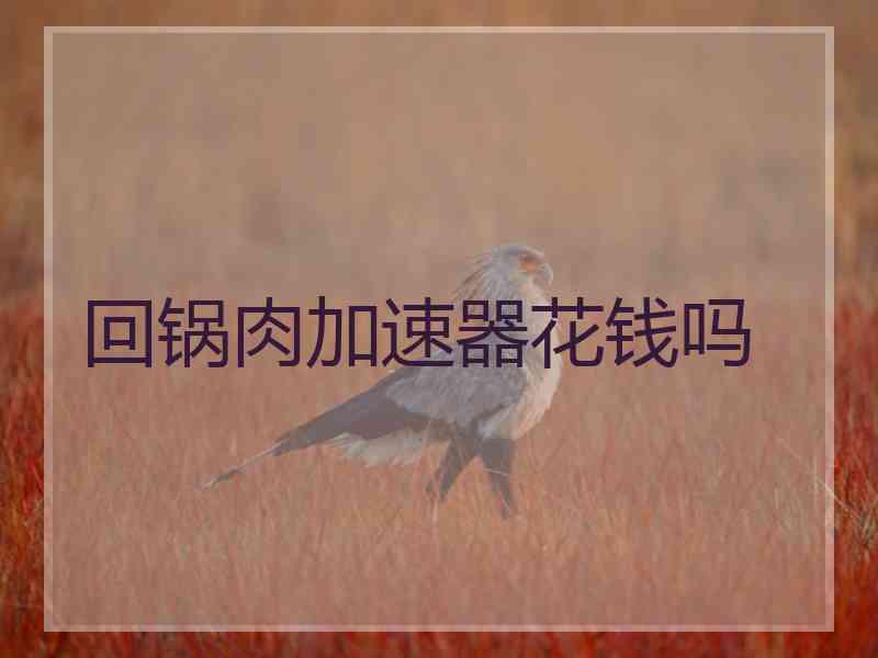 回锅肉加速器花钱吗