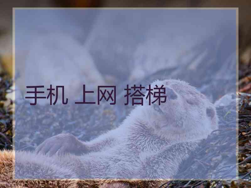 手机 上网 搭梯